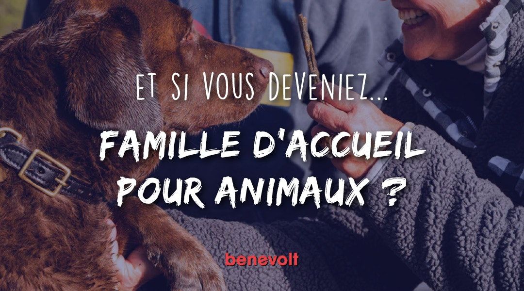 Famille d'accueil bénévole pour animaux, ce qu'il faut savoir avant d'accueillir un animal chez soi !