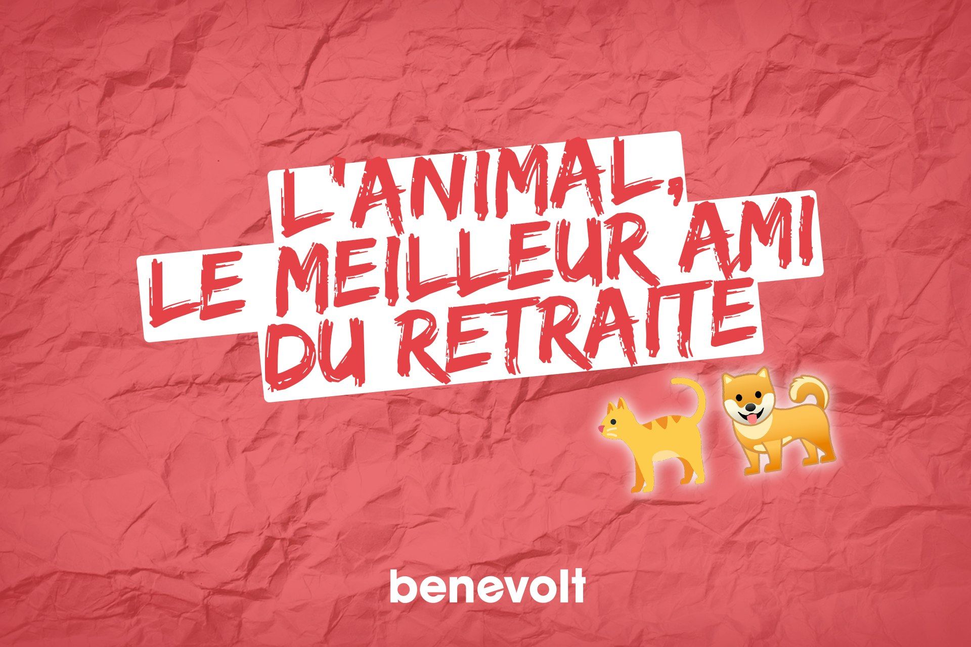 L’animal de compagnie, le meilleur allié du retraité ?