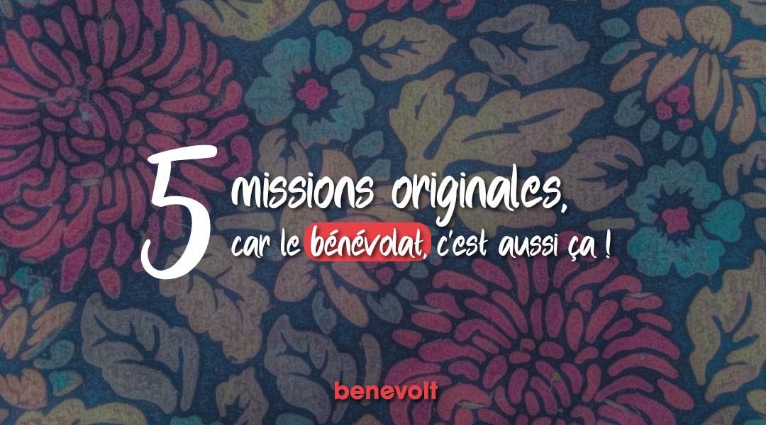 5 missions qui vous feront voir le bénévolat sous un nouvel angle !