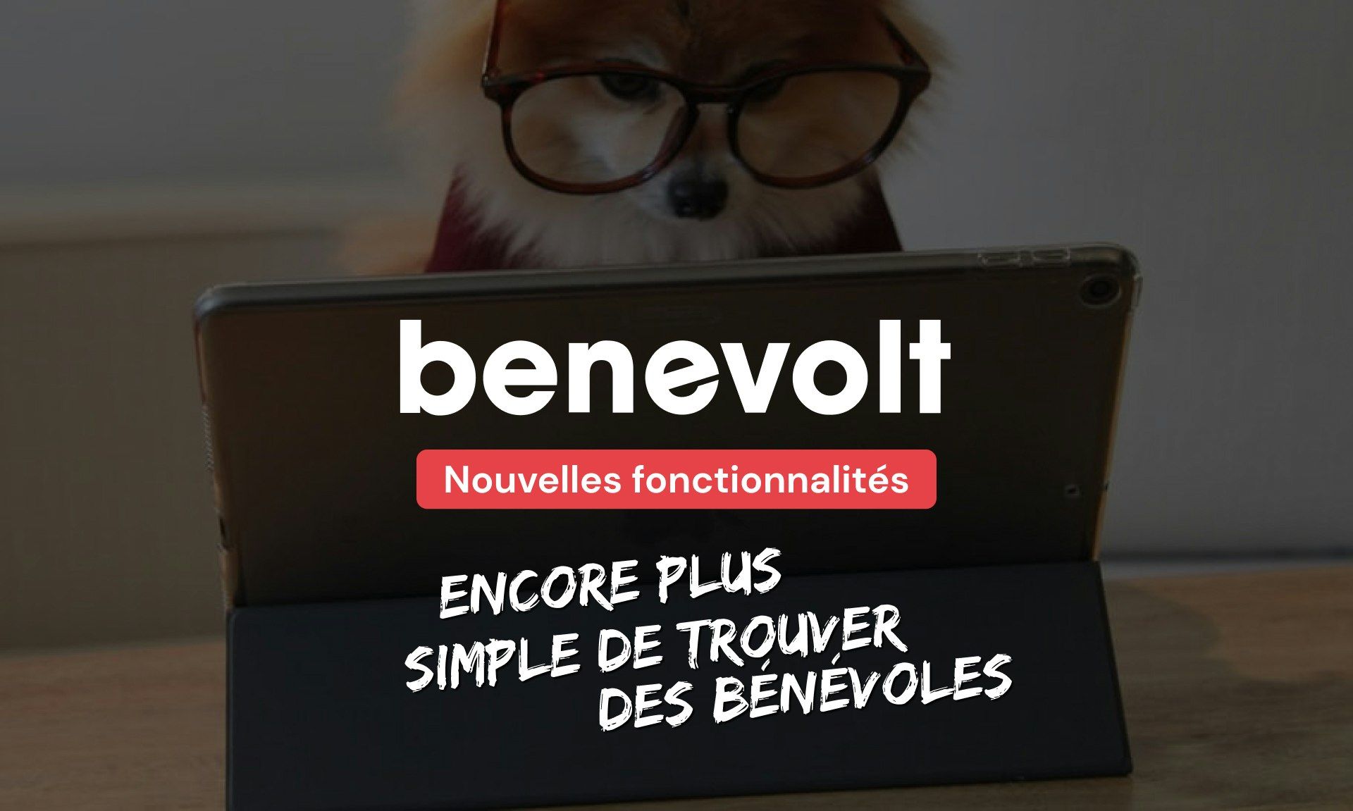 Les nouveautés sur Benevolt pour les associations