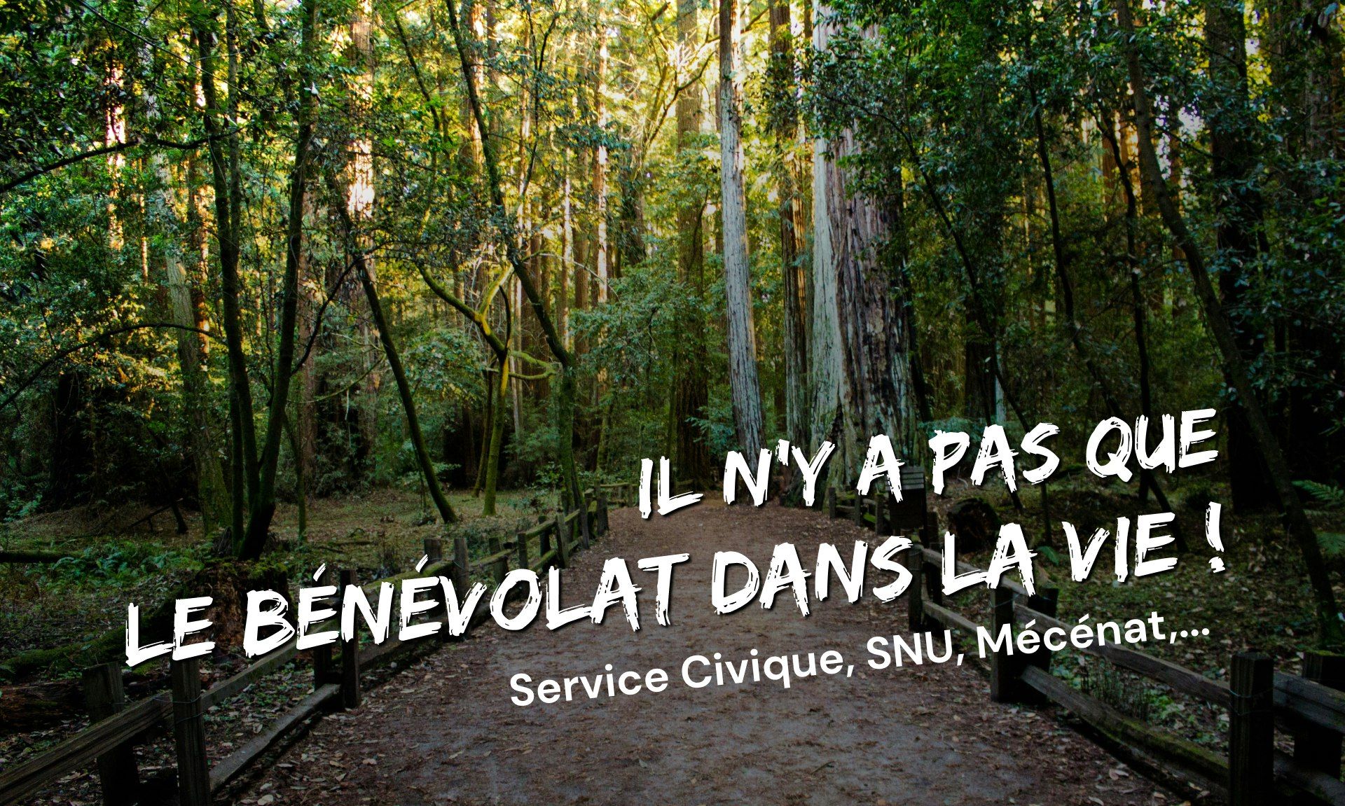 SNU, Service Civique, Mécénat… Il n’y a pas que le bénévolat dans la vie ! 